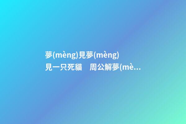 夢(mèng)見夢(mèng)見一只死貓　周公解夢(mèng)之夢(mèng)到夢(mèng)見一只死貓